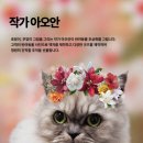 냥냥펀치 이미지