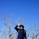 휴양림길 이미지