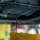 미주자동차나라 이미지