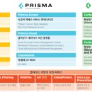 파파네트웍스