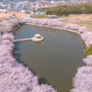 골정지 세계일보