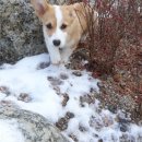 배박사 동물병원 이미지