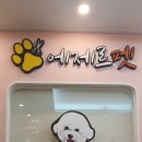 에제르펫 이미지