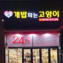 개밥파는고양이라베니체점