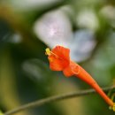 상동호수공원 이미지