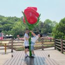 향기휴게점 이미지