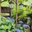 대바우가든 | 울산 대바우가든 평상대여로 계곡에서 꿀휴가