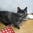 간석3동-26 이미지