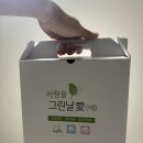 향이좋은친환경용품(1~3학년) | 친환경세제 찾는다면 추천, 빛과둥지 그린세트4 실사용 후기 🌿