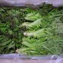 신용순농장 이미지