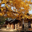 32번국도 이미지