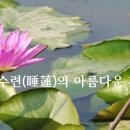 경전의 명언 - 부처님 말씀 - 2115 - 불을 끄듯이, 이미지