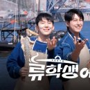 케이엔터테인먼트 이미지