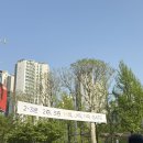 [2025 잔나비 콘서트: 모든소년소녀들🐒🍌] : 티켓팅부터 Day 1&amp;Day 3 후기(+앨범 후기를 곁들인)