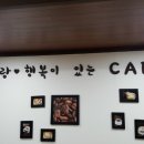 다원인테리어 이미지