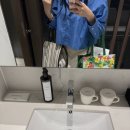 세운호텔 | [더 보타닉 세운 명동] 명동 신상 호텔 을지로 레지던스 호텔 보타닉 스위트 후기