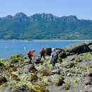 하도 해변 이미지