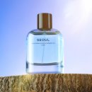 신사동-8 이미지