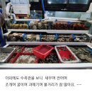 회조비 | 의정부 금오동 방어 철에 대방어맛집 회조비 횟집 후기재대로