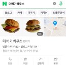 파크독&살롱 | 제목 뭐라하지