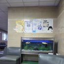 김경신소아청소년과의원 이미지