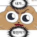 코지라이프