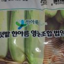 텃밭한아름 영농조합법인 이미지