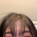 댕댕묭실 이미지