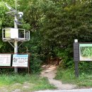 외곡천 Daum카페