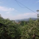 신학농장 이미지