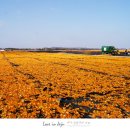 건지목장 이미지