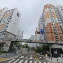 구로-구로-구로-733 이미지