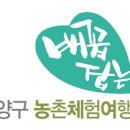 김동훈 농장 이미지