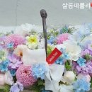 살롱데플러