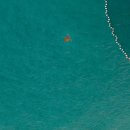 서울동물 이미지