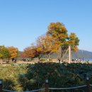 양평 여인숙 이미지