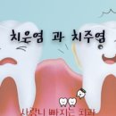 사랑니빠지는구강악안면외과치과의원 이미지