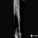 신세계동물의료센터 이미지