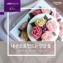콜러노비타 이미지