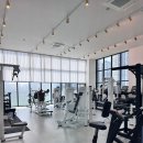 엑스포스짐 이미지