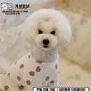 개성있냥 이미지