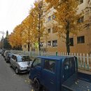 오정구 원종로 7 이미지