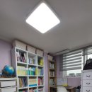 미포초교병설유치원 이미지