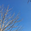 역삼2동주민센터 이미지