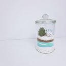 형남초등학교 병설유치원 이미지