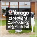 선정목장 | 요나고 렌터카 여행코스 가볼만한곳 다이센목장 구라요시마을 하늘의마나이