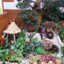 미니정원 이미지