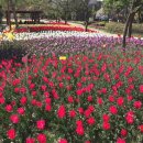 플라워가든 이미지