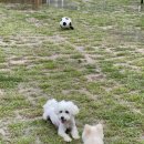 멍클라쓰 이미지