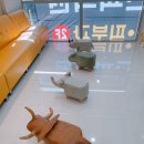 봄빛연합소아청소년과의원 이미지